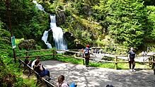 Die berühmten Triberger Wasserfälle locken jährlich Tausende Besucher an – so auch Gäste aus dem heißen, trockenen Süden Europas. Foto: ...
