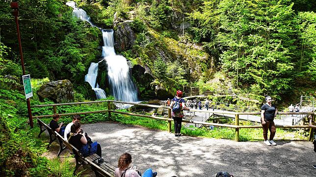 Die berühmten Triberger Wasserfälle locken jährlich Tausende Besucher an – so auch Gäste aus dem heißen, trockenen Süden Europas. Foto: ...