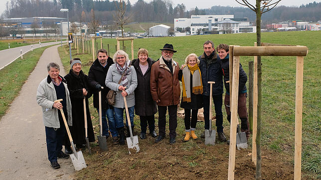 Am Postbühl, der vom Gewerbegebiet Oberried nach Andelshofen führt, ist mit der gemeinsamen Aktion &bdquo;Bäume verbinden&ldquo; von ...