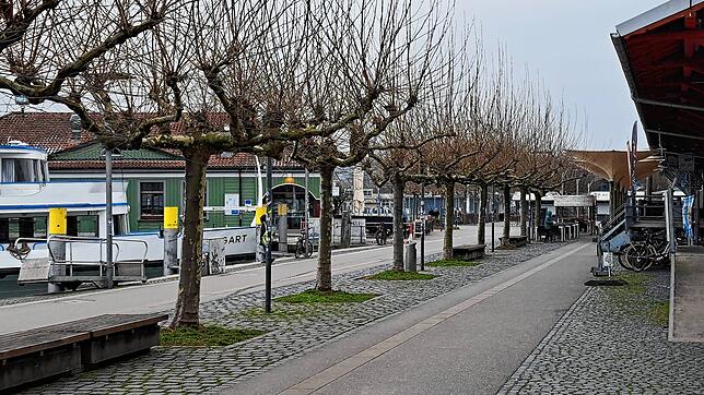 Laut Polizeiangaben bemerkt der Junge in der Marktstättenunterführung, dass er verfolgt wird. Vor der Hafenhalle habe ihn dann einer der ...