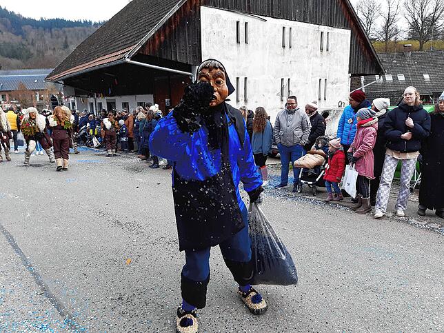 Bild 14: Die schönsten Bilder vom großen Habufa-Umzug in Hasel (2)