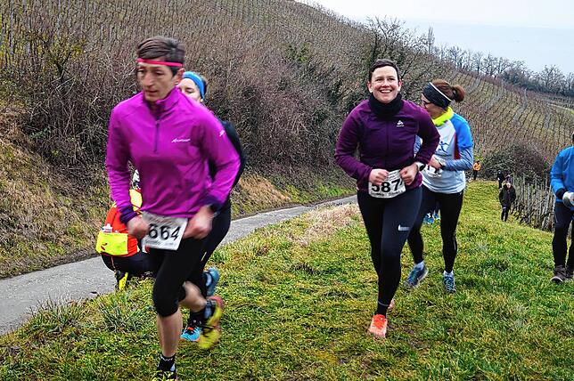 Bild 11: Bilder vom Crosslauf Hegau-Bodensee in den Reben oberhalb der Haltnau