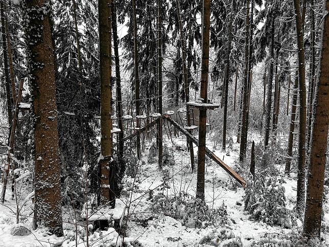 Schwerer Nassschnee richtete im Januar großen Schaden im Kletterwald „Hochempor“ am Bergsee an.