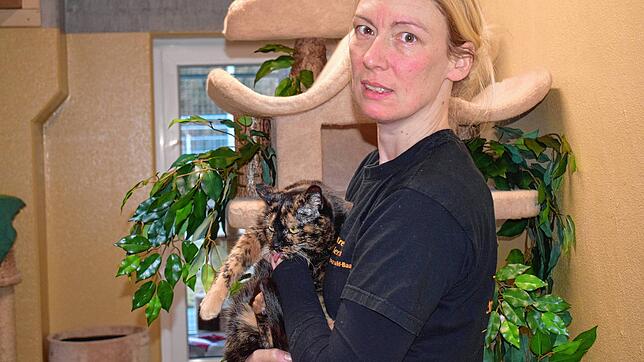 Nadine Vögel leitet das Kreistierheim in Donaueschingen. Pro Jahr nehmen sie dort 250 Katzen auf. Doch der Bedarf sei weitaus höher. ...