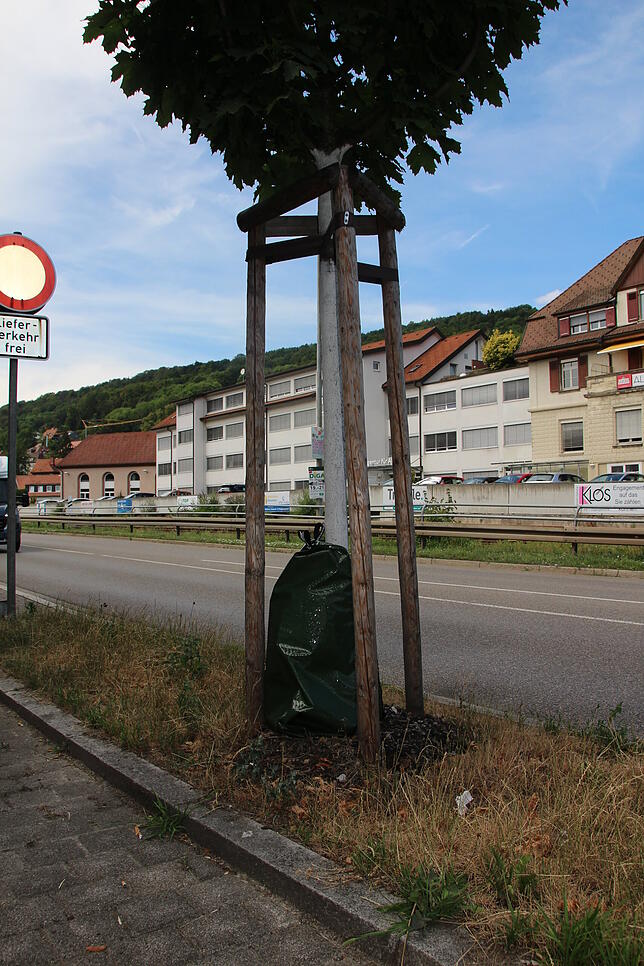 Das Bewässerungssystem ist nur für Jungbäume geeignet, da in den ersten drei Jahren das Wurzelwerk eines jungen Baumes noch nicht weit ...