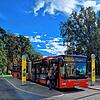 Volle Busse in Friedrichshafen? Die gibt es in den Sommermonaten, wenn Touristen auf Einheimische treffen, durchaus. Trotzdem gibt es ...