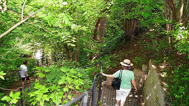 Urlauberin Katharina Gouders läuft auf ihrer Wanderung von Hagnau nach Meersburg durch den kleinen Tobel beim Höhenweg.