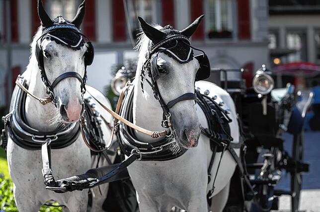 Den Gästen bietet Zermatt gerne Luxus pur. Da darf auch eine romantische Pferdekutsche nicht fehlen.