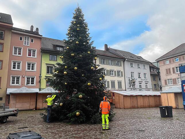 Die Mitarbeiter der Technischen Dienste beim Schmücken des Weihnachtsbaums in Bad Säckingen.