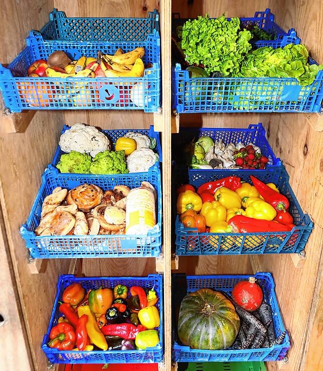 In dieses Holzregal beim Palmenhaus, den Fairteiler, legen die Ehrenamtlichen Obst, Gemüse und Backwaren, die vor dem Wegwerfen gerettet ...