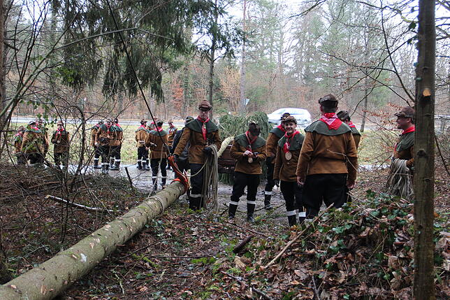 Bild 13: Bilder vom Einholen der Narrenbäume der Narrizella Ratoldi und der Froschenzunft im Altbohlwald