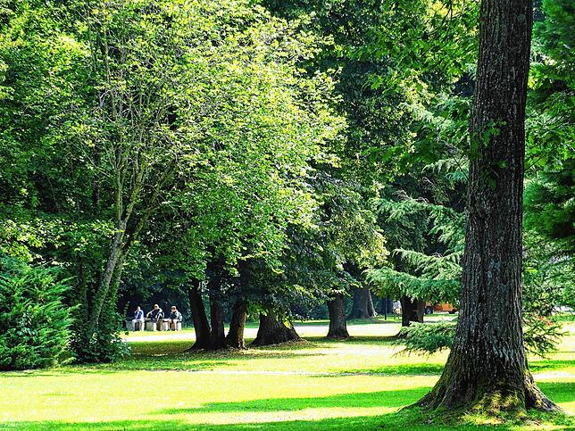 Der Stadtgarten mit seinem alten Baumbestand ist immer noch ein beliebter Treffpunkt für alle Generationen. Hier darf man auch mal in ...