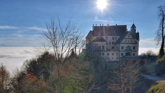 Das Schloss in Heiligenberg guckt aus einem Meer von Nebel. Dieses Bild soll sich unter anderem in dem Imagefilm wiederfinden. Auf Abruf ...