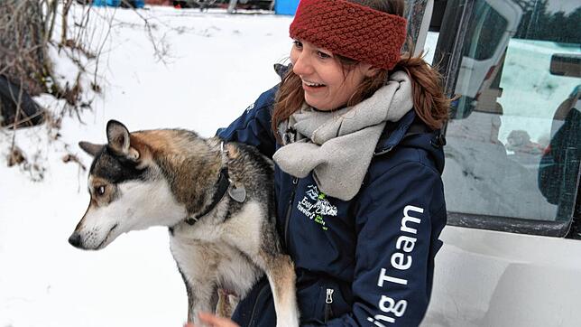 Musherin mit Schlittenhund im Huskycamp.
