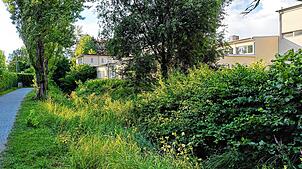 Noch scheint das Gelände in einem Dornröschenschlaf zu liegen. Doch hier sollen in wenigen Jahren mehrere Wohneinheiten entstehen.