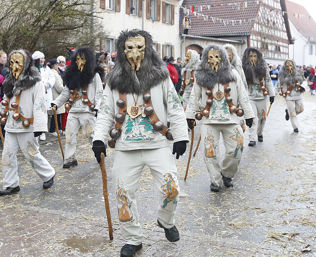 Bild 34: Bilder zum großen Narrentreffen in Pfohren (4)
