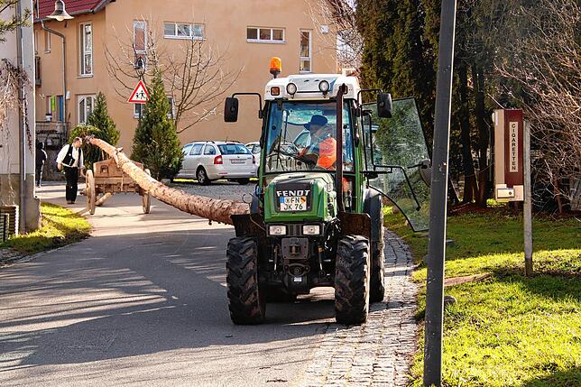Reicht gerade so um die Kurve: Der Narrenbaum beim Umzug am Schmotzigen Donnerstag in Bambergen.