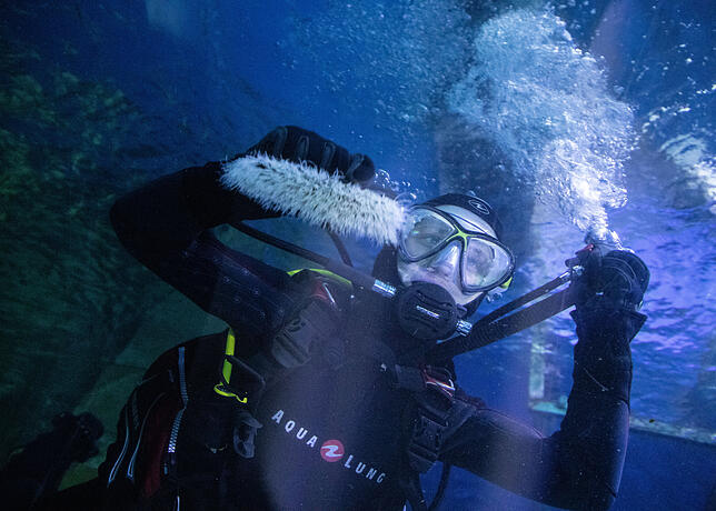 Bild 1: Verborgenes Konstanz: Wie ein Team von Aquaristen im Sea Life eine künstliche Unterwasserwelt zum Leben erweckt