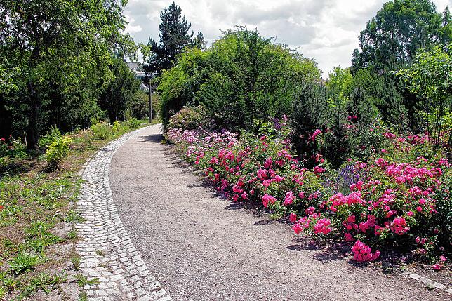 Bild 16: Bilder vom Villinger Hubenloch und dem Rosengarten