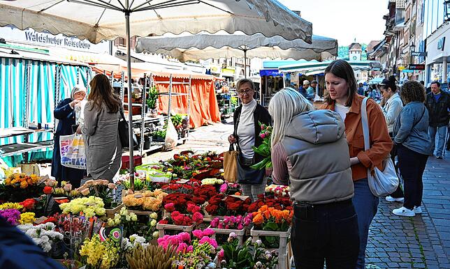 Bild 3: Familiensamstag in Waldshut: Mai-Wetter lockte viele Besucher