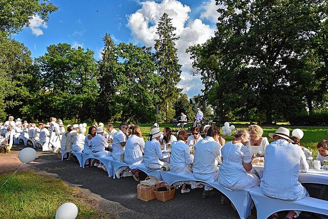 Bild 20: Französisches Picknick ganz in Weiß im Donaueschinger Schlosspark