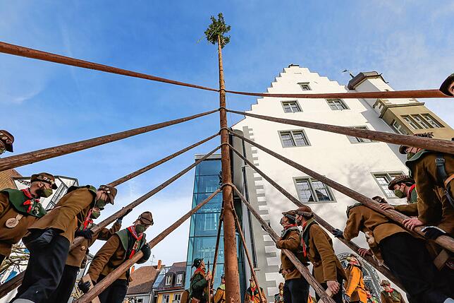 Bild 19: Bilder vom Narrenbaumstellen der Narrizella Ratoldi auf dem Marktplatz