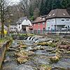 Die raue Rampe im Dorfbach, Rheinfeldens erste Fischtreppe, wie Reichert-Moser erklärt.