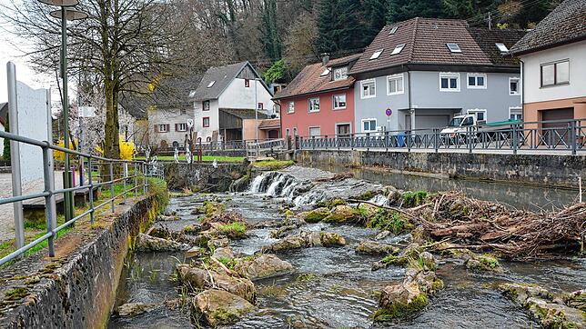 Die raue Rampe im Dorfbach, Rheinfeldens erste Fischtreppe, wie Reichert-Moser erklärt.