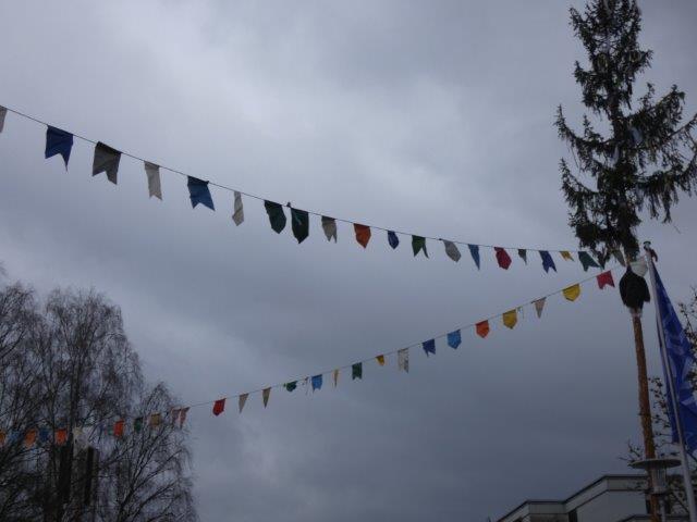 Bild 24: Teil 2: Bildergalerie zum Albbrucker Narrentreffen am 2. und 3. Februar 2019