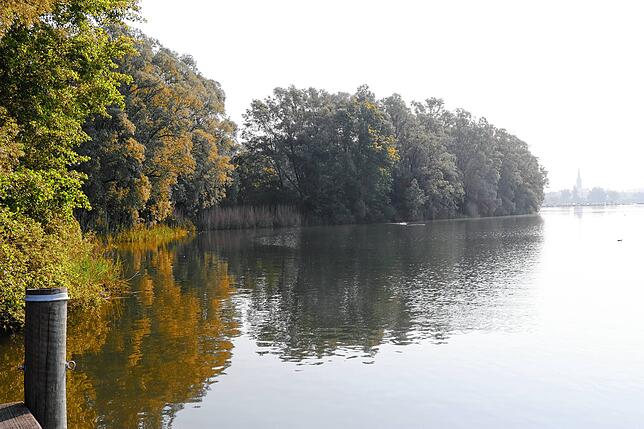 Der Streuhau am Morgen: Der Wald am Ufer spiegelt sich im Zeller See, rechts sind die Umrisse des Radolfzeller Münsters zu erkennen.