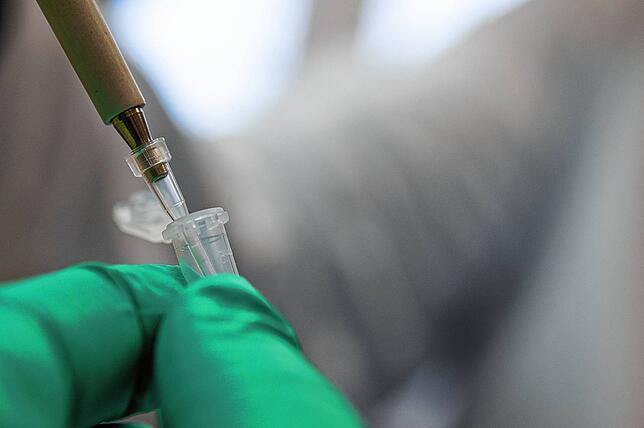 PCR-Tests werden nicht mehr in breiter Masse auf die jeweilige Virusvariante geprüft – nur wenige Prozent der Proben werden ...