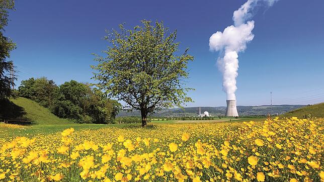 Bild : Neun Dinge, die Sie (vielleicht) noch nicht über das Atomkraftwerk Leibstadt wussten