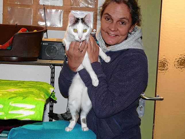 Tierheim-Leiterin Heidii Schätzle mit Neville, eine der wenigen Katzen, die im Moment noch auf Vermittlung warten. Da er anhänglich ist, ...