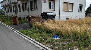 In der Prinz-Karl-Egon Straße landet nicht jeder Gegenstand, der weggeworfen werden soll, auch in der passenden Mülltonne.