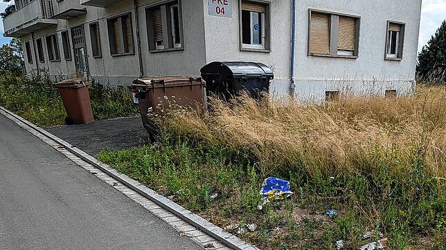 In der Prinz-Karl-Egon Straße landet nicht jeder Gegenstand, der weggeworfen werden soll, auch in der passenden Mülltonne.