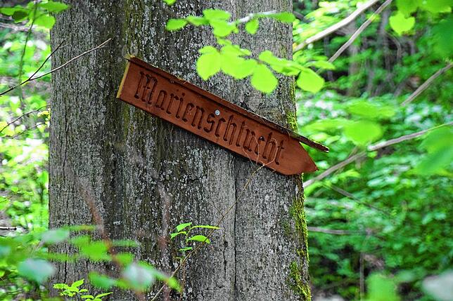 An einem Baum neben der ersten Absperrung weist noch ein Schild auf die inzwischen seit Jahren gesperrte Schlucht hin.