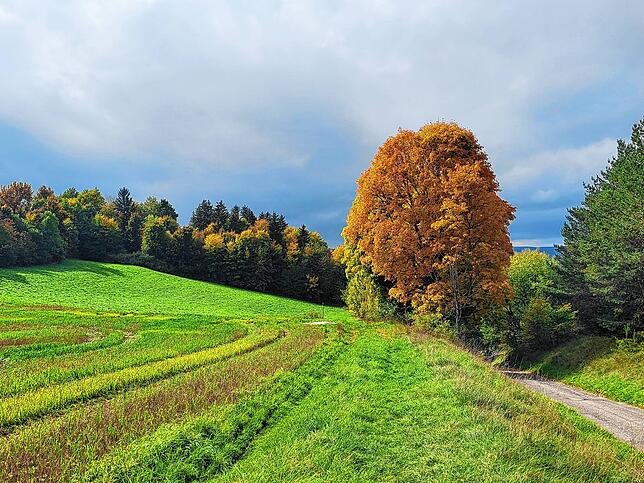 Bild 18: So schön ist der Herbst im Schwarzwald und auf der Baar