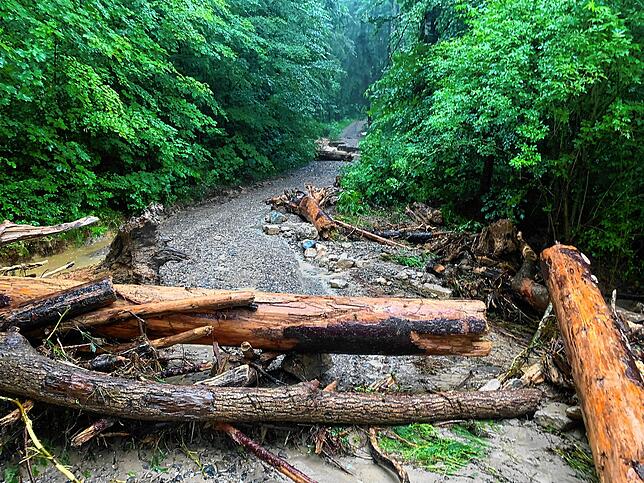 Das Unwetter am 26. Juni hatte am Gehrenberg enorme Schäden hinterlassen.