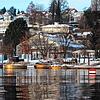 Die Schwimmenden Gärten scheinen den Winter bisher vor dem Villengärten mit dem neuen Pflanzenhaus ganz gut überstanden zu haben.