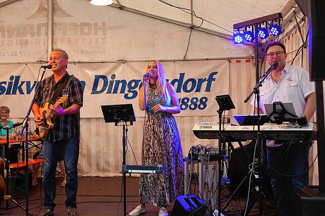 Bild 9: Dingelsdorfer Herbstfest: So schön war der Freitagabend