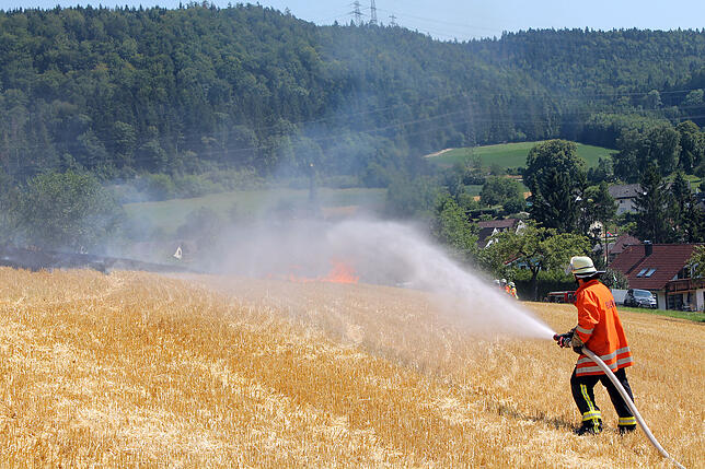 Bild 6: Flächenbrand bei Blumberg-Epfenhofen erfordert einen Großeinsatz der Blumberger Feuerwehr