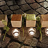 Bild :