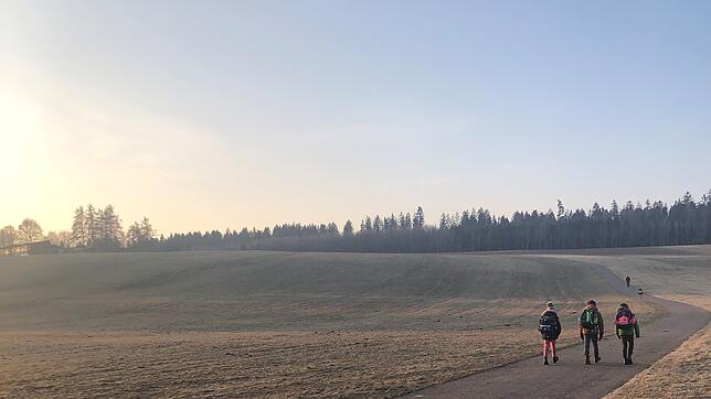 Kinder auf dem Schulweg Richtung Warenbergschule: Die Stadt möchte hier einen sicheren Schulweg garantieren und hält an der Leinepflicht ...