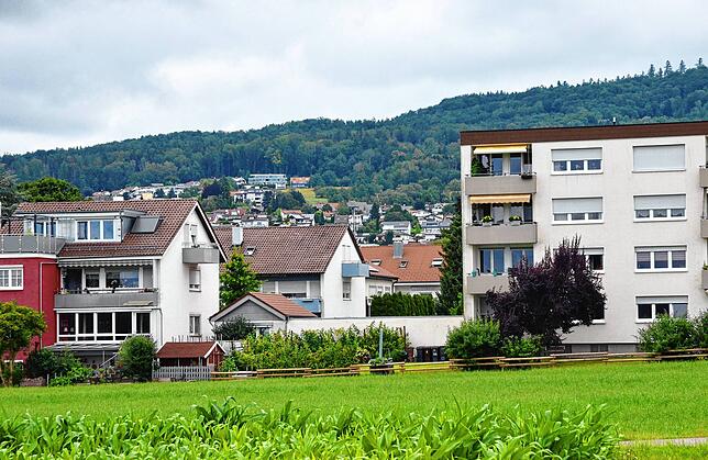 Die meisten Hauseigentümer in der Stadt werden ihre Wärmewende in eigener Regie durchführen müssen. Sie bekommen aber Beistand von ...