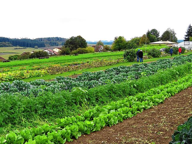 Bild 22: Bilder vom „Tag des offenen Ackers“ von Baarfood