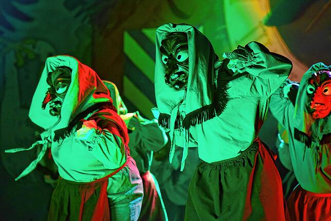 Die Villinger Hexen geben sich beim Ball 2019 gruselig.