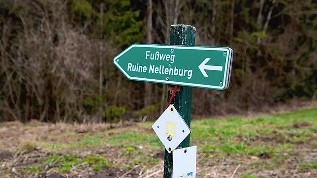 Ein Schild auf dem Privatgelände der gräflichen Familie Douglas zeigt den Weg zur Burgruine der Nellenburg.