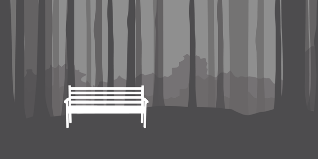 Mitten im Wald, mitten am Tag: Selbst in aller Öffentlichkeit wurde der Junge missbraucht. Eine Bank im Wald rund um Staufen war der ...