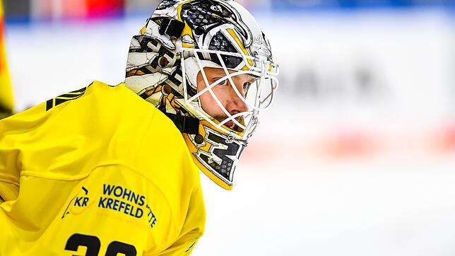 Marvin Cüpper soll der neue Backup bei den Wild Wings werden.