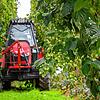 Ein Traktor mit einem Reißgerät fährt durch den Hopfengarten. Wie wird die Ernte 2021?